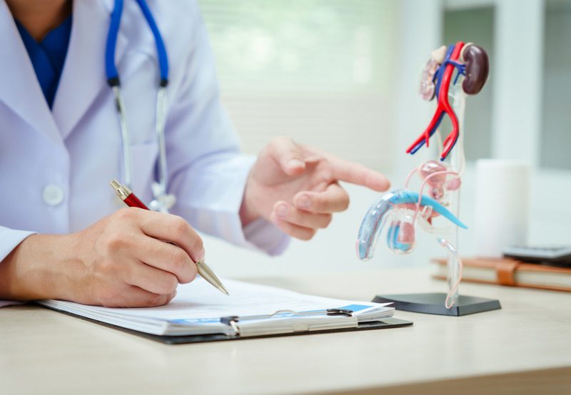 Doctor-at-desk-pointing-to-model-of-the-male-reproductive-system