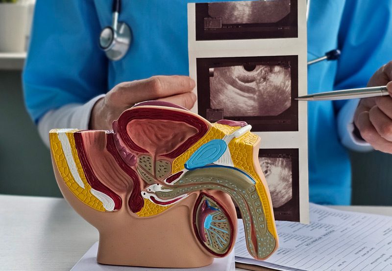 Doctor-pointing-to-penile-ultrasound