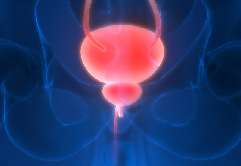 Illustration-of-urological-anatomy