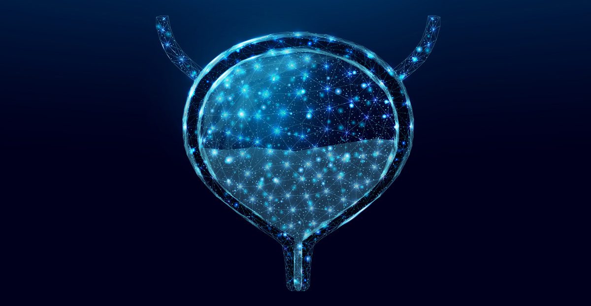 Medical-illustration-of-the-bladder